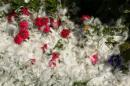 anges et demons 014 * 4272 x 2848 * (3.71MB)